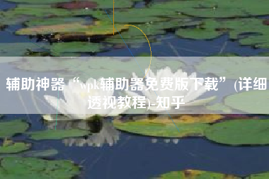 辅助神器“wpk辅助器免费版下载”(详细透视教程)-知乎