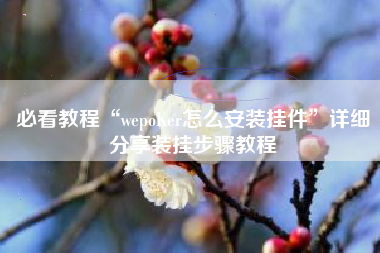 必看教程“wepoKer怎么安装挂件”详细分享装挂步骤教程