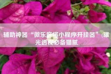 辅助神器“微乐麻将小程序开挂器”(曝光透视必备猫腻