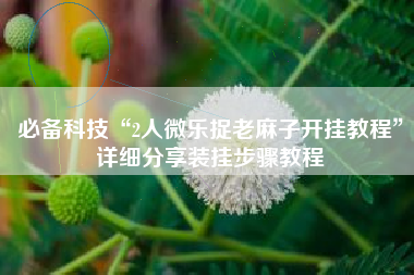 必备科技“2人微乐捉老麻子开挂教程”详细分享装挂步骤教程