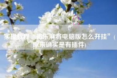 实操教程“微乐麻将电脑版怎么开挂”(原来确实是有插件)