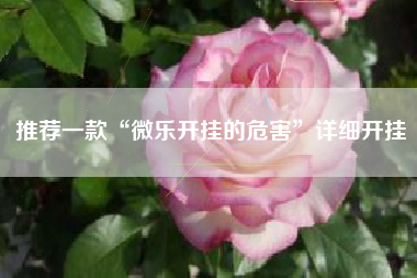 推荐一款“微乐开挂的危害	”详细开挂