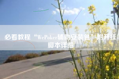 必看教程“WePoker辅助安装包”附开挂脚本详细
