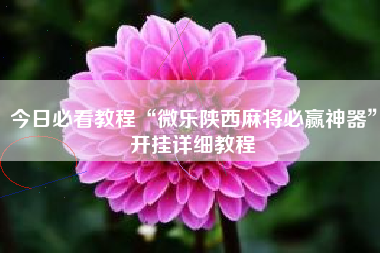 今日必看教程“微乐陕西麻将必赢神器”开挂详细教程