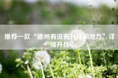 推荐一款“德州有没有开挂的地方	”详细开挂