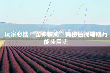 玩家必搜“雀神辅助”揭秘透视辅助万能挂用法