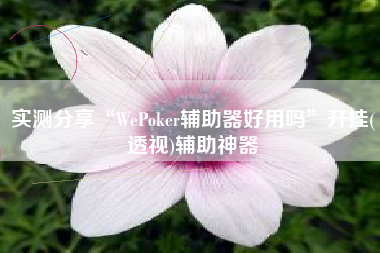 实测分享“WePoker辅助器好用吗”开挂(透视)辅助神器