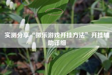 实测分享“微乐游戏开挂方法”开挂辅助详细