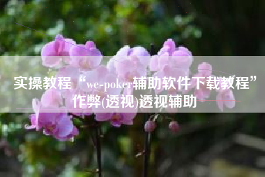 实操教程“we-poker辅助软件下载教程”作弊(透视)透视辅助