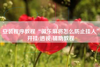 安装程序教程“微乐麻将怎么防止挂人”开挂(透视)辅助教程