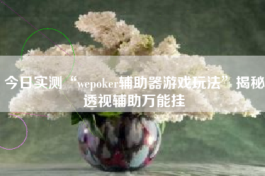 今日实测“wepoker辅助器游戏玩法”揭秘透视辅助万能挂