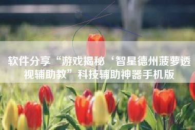 软件分享“游戏揭秘‘智星德州菠萝透视辅助教	”科技辅助神器手机版