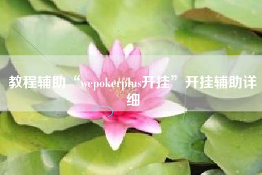 教程辅助“wepokerplus开挂”开挂辅助详细