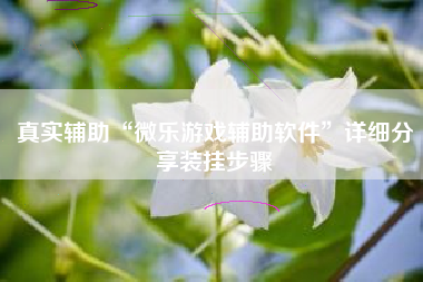 真实辅助“微乐游戏辅助软件”详细分享装挂步骤