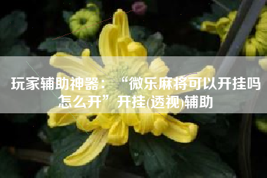 玩家辅助神器：“微乐麻将可以开挂吗怎么开	”开挂(透视)辅助