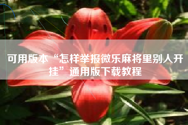 可用版本“怎样举报微乐麻将里别人开挂”通用版下载教程