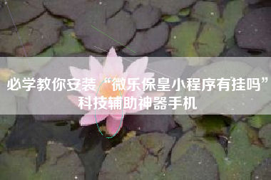 必学教你安装“微乐保皇小程序有挂吗”科技辅助神器手机