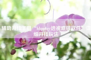 辅助开挂工具“hhpoker透视底牌软件	”详细开挂玩法