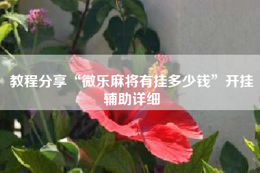 教程分享“微乐麻将有挂多少钱”开挂辅助详细