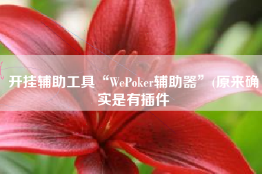开挂辅助工具“WePoker辅助器”(原来确实是有插件