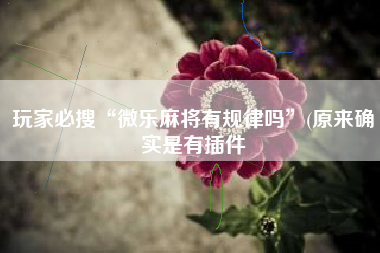 玩家必搜“微乐麻将有规律吗	”(原来确实是有插件