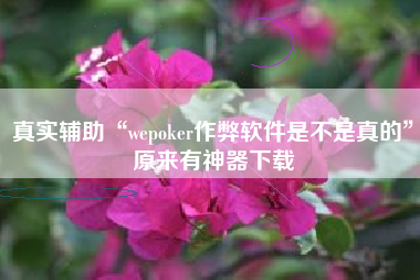 真实辅助“wepoker作弊软件是不是真的	”原来有神器下载