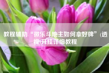 教程辅助“微乐斗地主如何拿好牌”(透视)开挂详细教程