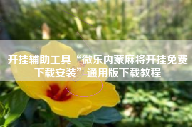 开挂辅助工具“微乐内蒙麻将开挂免费下载安装”通用版下载教程