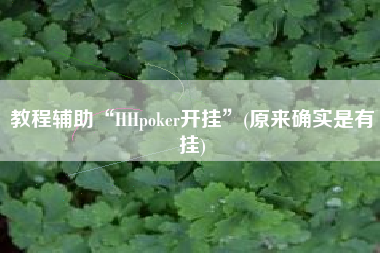 教程辅助“HHpoker开挂	”(原来确实是有挂)