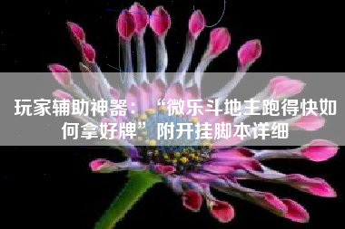 玩家辅助神器：“微乐斗地主跑得快如何拿好牌”附开挂脚本详细