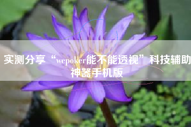 实测分享“wepoker能不能透视”科技辅助神器手机版