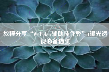 教程分享“WePoker辅助挂作弊	”(曝光透视必备猫腻