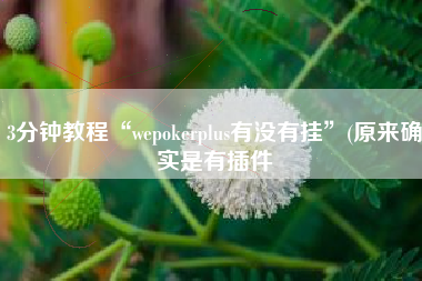 3分钟教程“wepokerplus有没有挂	”(原来确实是有插件