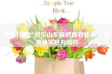 专家分析“微乐山东麻将真有挂么	”(原来确实是有插件