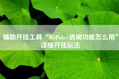 辅助开挂工具“WePoker透视功能怎么用	”详细开挂玩法