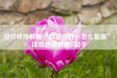 安装程序教程“微乐三打一怎么能赢	”(详细透视教程)-知乎
