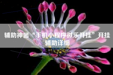 辅助神器“手机小程序微乐开挂”开挂辅助详细