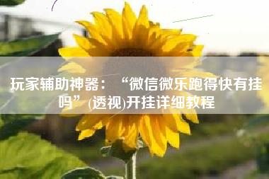 玩家辅助神器：“微信微乐跑得快有挂吗”(透视)开挂详细教程