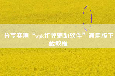 分享实测“wpk作弊辅助软件”通用版下载教程