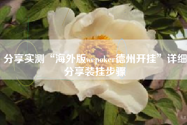 分享实测“海外版wepoker德州开挂	”详细分享装挂步骤