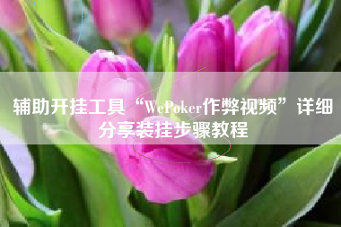 辅助开挂工具“WePoker作弊视频”详细分享装挂步骤教程