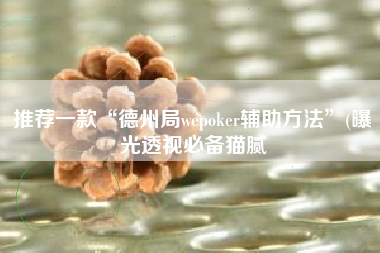 推荐一款“德州局wepoker辅助方法”(曝光透视必备猫腻
