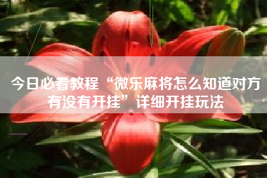 今日必看教程“微乐麻将怎么知道对方有没有开挂”详细开挂玩法