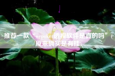 推荐一款“wepoker透视软件是真的吗”(原来确实是有挂)
