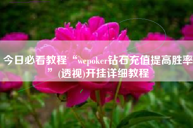 今日必看教程“wepoker钻石充值提高胜率”(透视)开挂详细教程