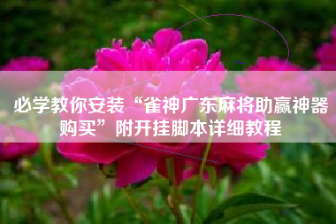 必学教你安装“雀神广东麻将助赢神器购买”附开挂脚本详细教程