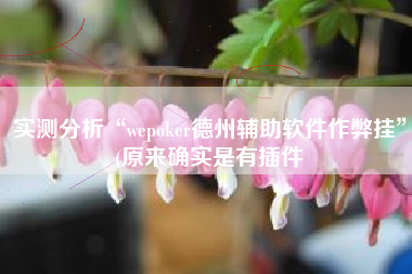实测分析“wepoker德州辅助软件作弊挂”(原来确实是有插件