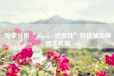 专家分析“AGpoker透视挂	”科技辅助神器手机版