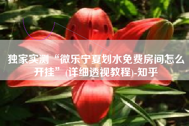 独家实测“微乐宁夏划水免费房间怎么开挂”(详细透视教程)-知乎