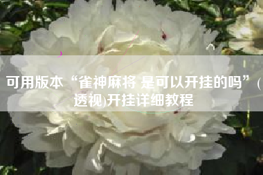 可用版本“雀神麻将 是可以开挂的吗”(透视)开挂详细教程